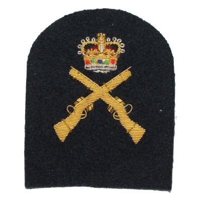 RN Skill at Arms Badge
