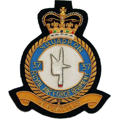 Royal Air Force Regiment Blazer Badge, 37 Squadron, Wire