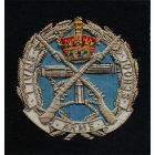 SASC Wire Blazer Badge