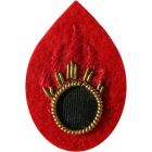 RLC Ammo Examiner Scarlet Badge