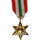 Italy Star, Medal (Miniature)