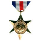 France & Germany Star, Medal