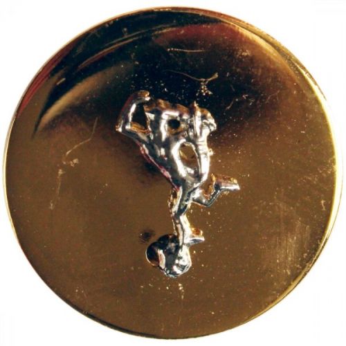 Royal Signals Button, Mounted, Flat (Large)