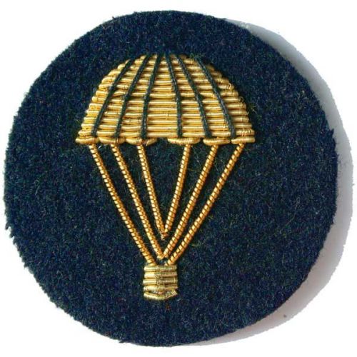 Parachute Gold On Navy Badge