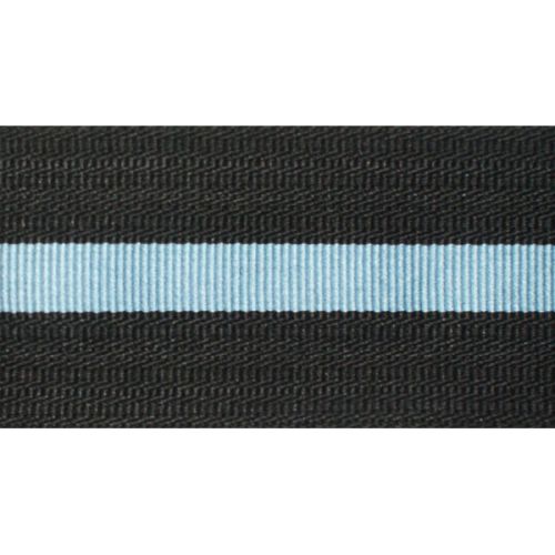RAF Air Commodore Braid