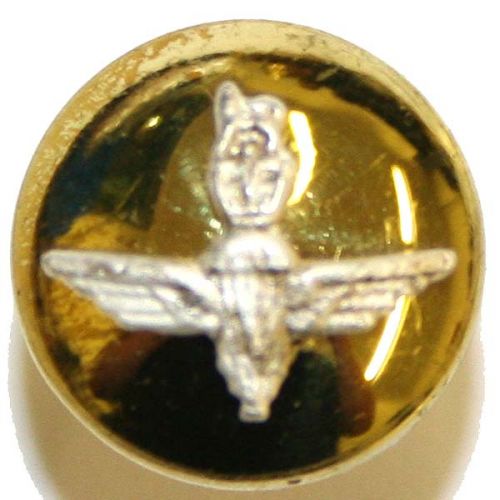 Parachute Regiment Button, Mounted, Dead Silver Mount (22L)