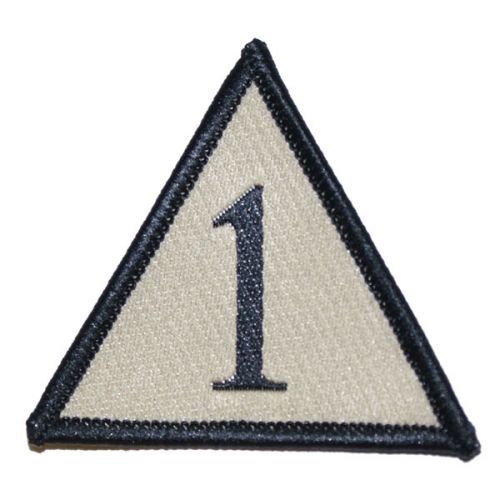 1 Mechanised Brigade TRF - Desert