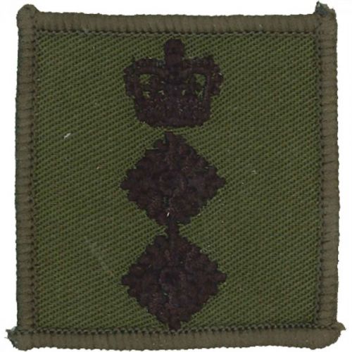 RM Helmet Patch OG Colonel