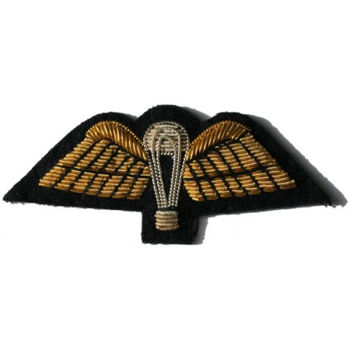 PARA Wings Gold On Navy