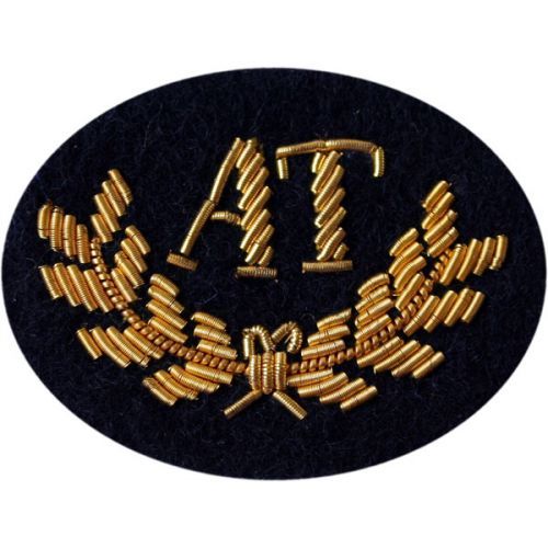 Anti-Tank Gold On Navy Badge