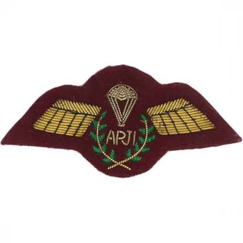 APJI Gold On PARA Maroon Badge