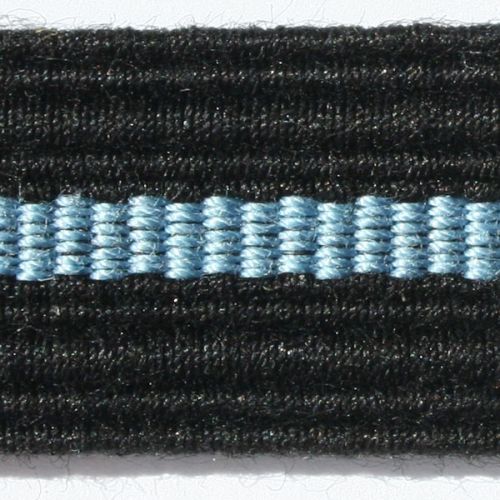 RAF Flying Officer Braid