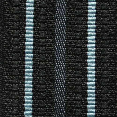 RAF Flight Lieutenant Braid