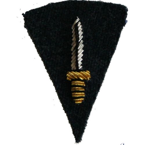 RAF Commando Badge