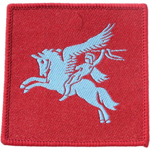 Airborne DZ Flash Badge