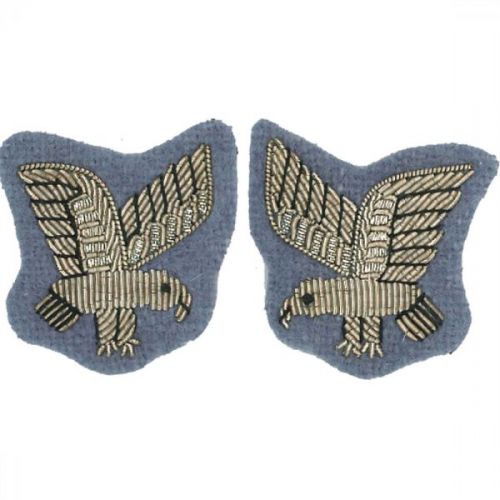 AAC SNCO Eagle Badge