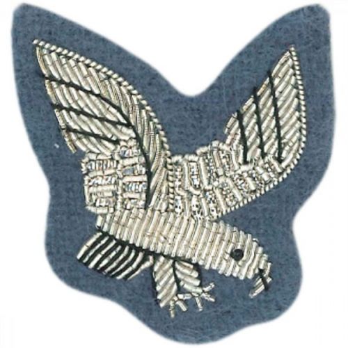 AAC Eagle No.1 Dress Dress Badge