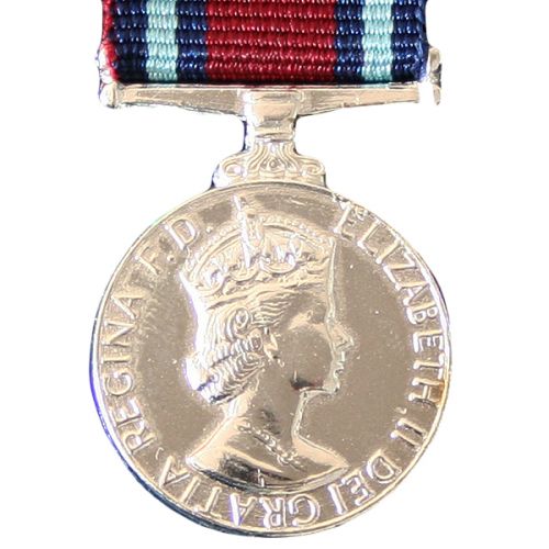 Champion Shot RAF, Medal (Miniature)