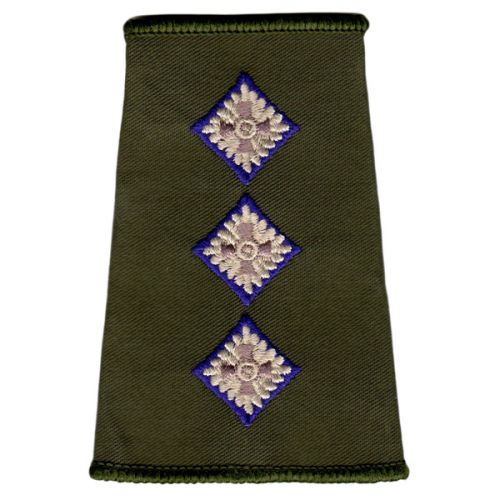 RAChD Rank Slides, Olive Green, (Capt)