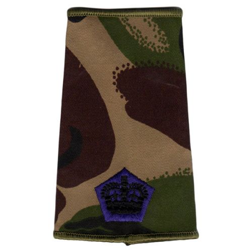 RAChD Rank Slides, CS95, (Maj)