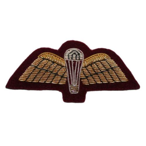 PARA & Wings (Gold on PARA Maroon)