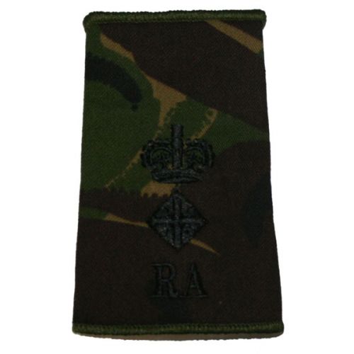 RA Rank Slides, CS95, (Lt/Col)