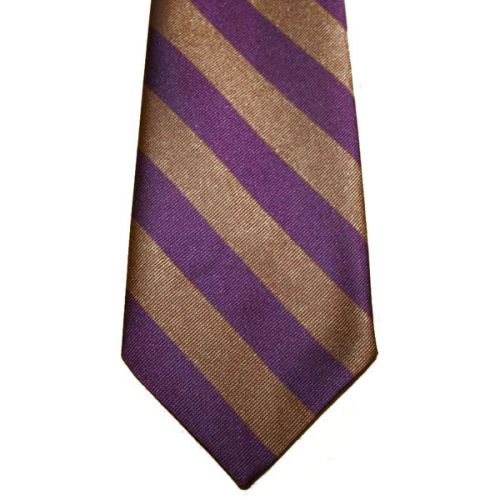 RNF Polyester Striped Tie