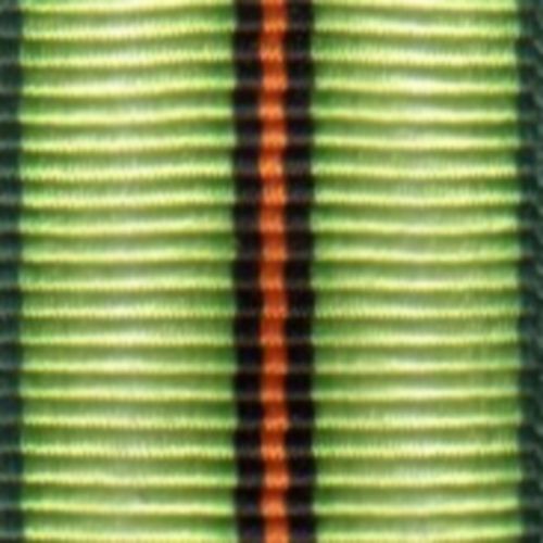 Royal Navy Patrol Service, Medal Ribbon (Miniature)