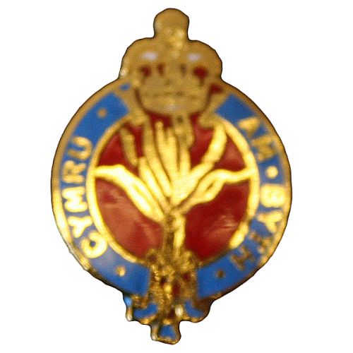 Welsh Guards Lapel Badge
