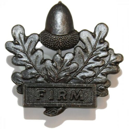 Mercian Bronze Collar Badges