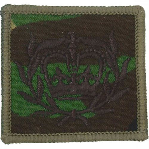 RM Helmet Patch DPM RQMS