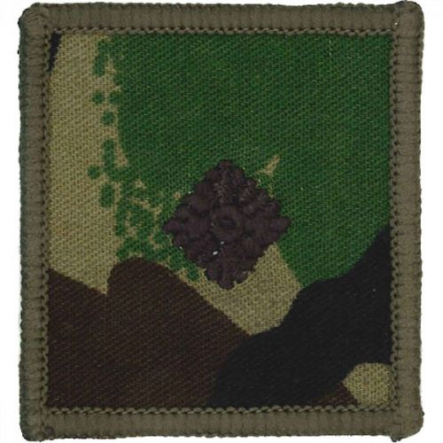 RM Helmet Patch DPM 2/LT