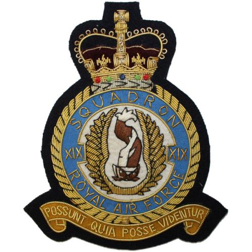 RAF 19 Sqn Wire Blazer Badge