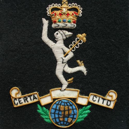 R.SIGS Wire Blazer Badge E11R (N.P)