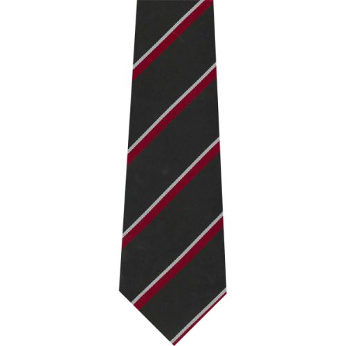The Welch Regiment Tie