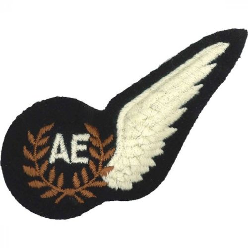 RAF Air Electronic's Brevet