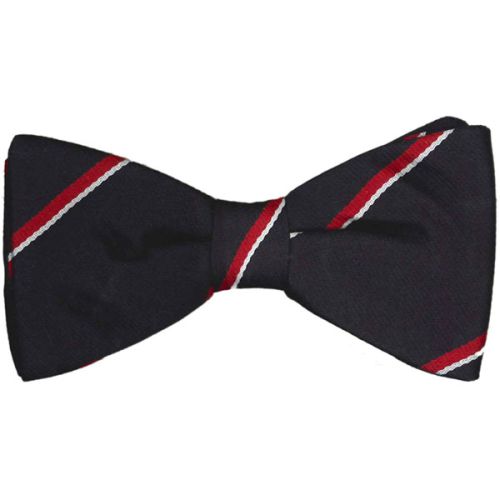 RN Striped Ready Tied Bow Tie