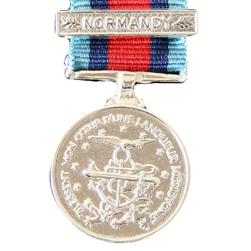 Normandy Veterans Medallion, Medal (Miniature)