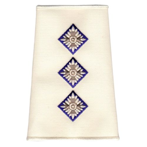 RAChD Rank Slides, Cream, (Capt)