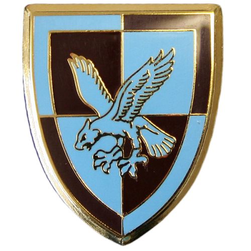 16 Air Assault Lapel Badge